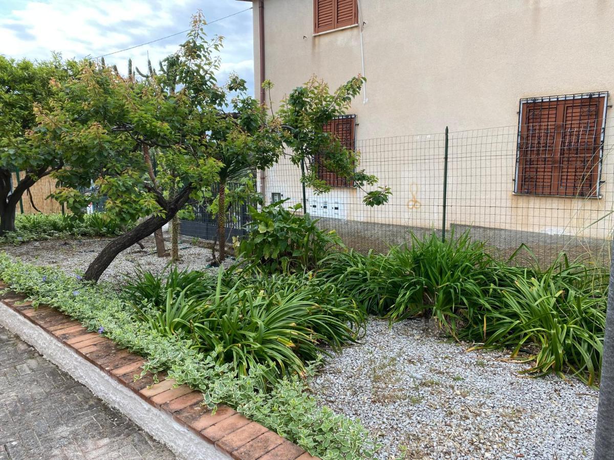 Apartment Le Rose Marina di Camerota