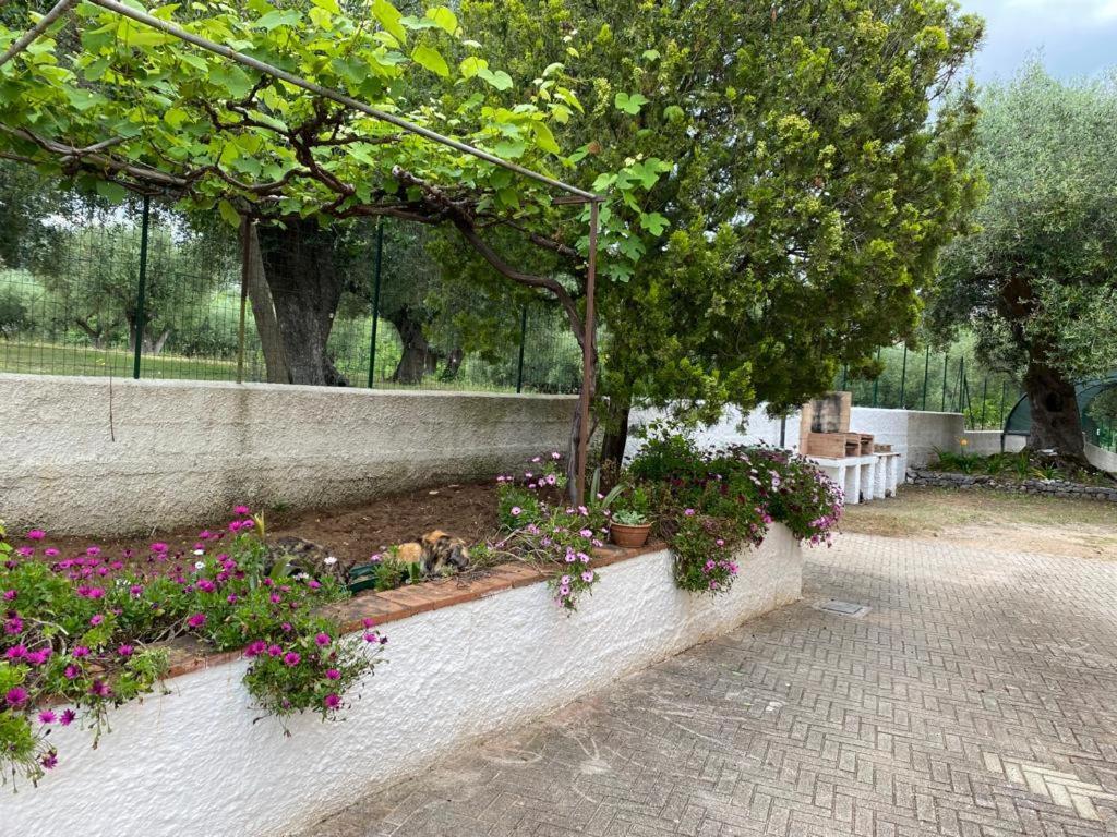 Apartment Le Rose *