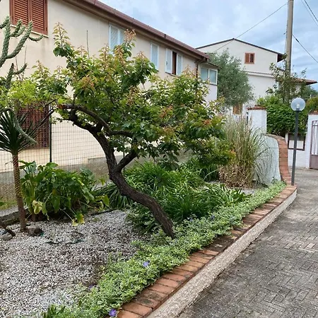 Le Rose Apartment Marina di Camerota Exterior photo