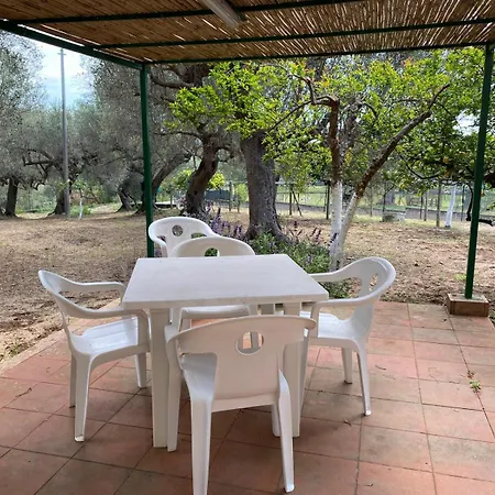 Le Rose Apartment Marina di Camerota Exterior photo