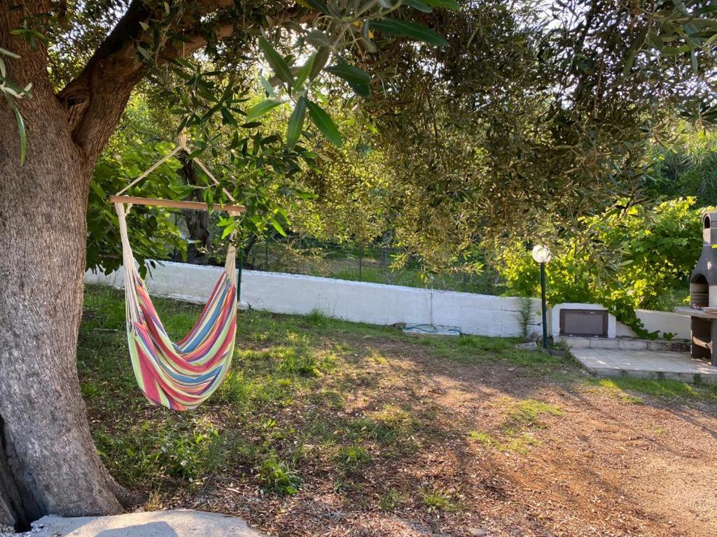 Le Rose Apartment