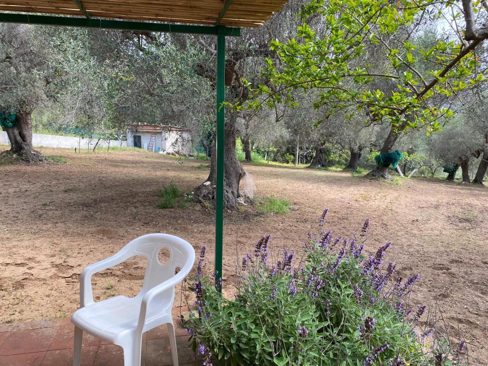 Le Rose Apartment Marina di Camerota