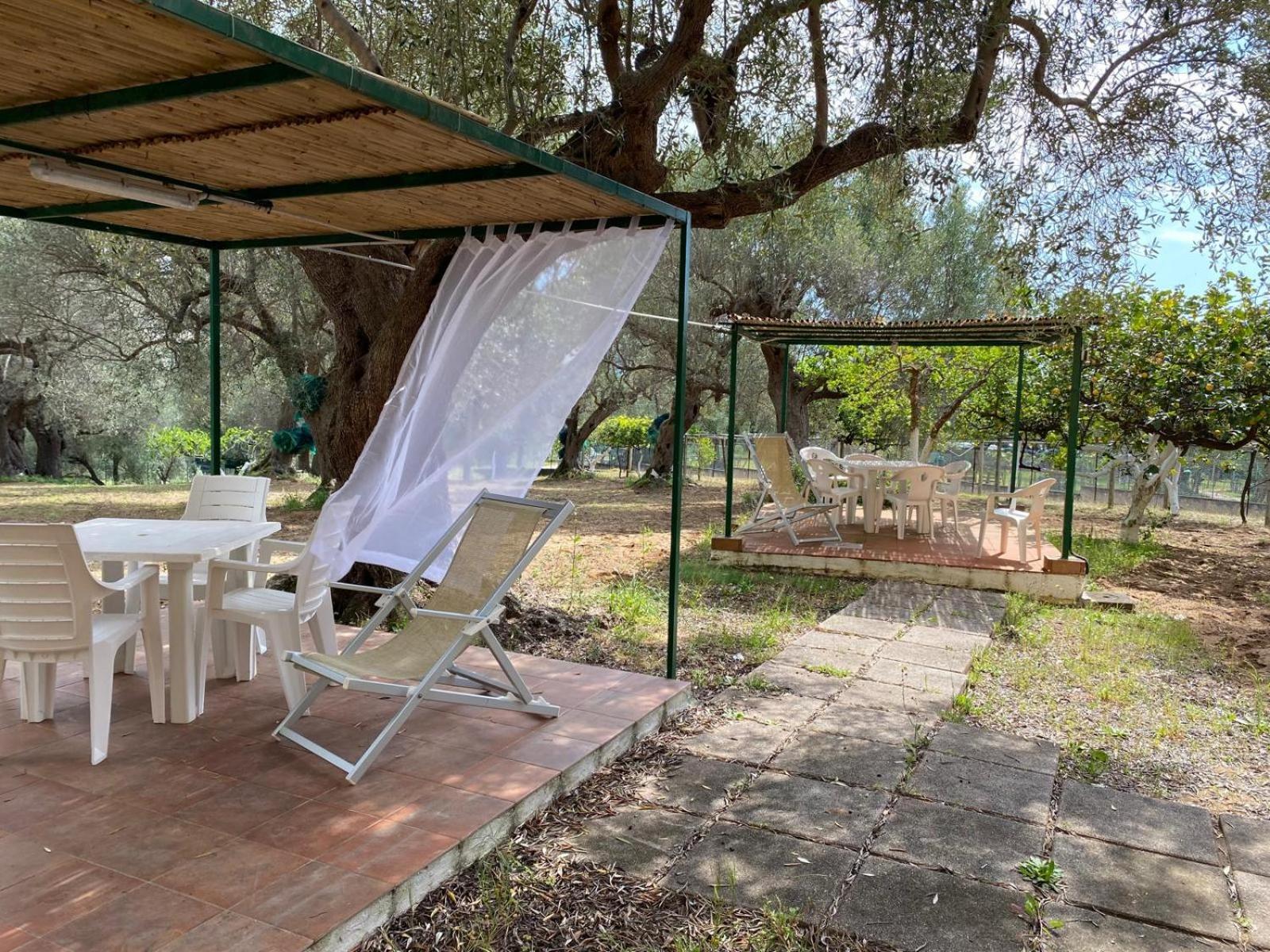 Apartment Le Rose Marina di Camerota
